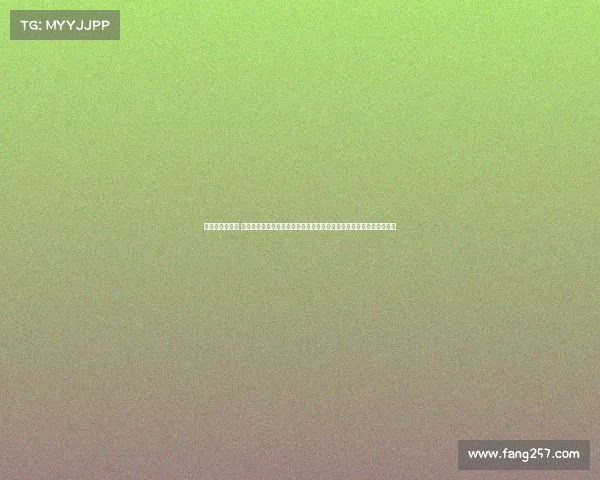 美国马拉松赛事 聚焦美国马拉松赛事：探索波士顿纽约芝加哥等著名赛事的历史与文化